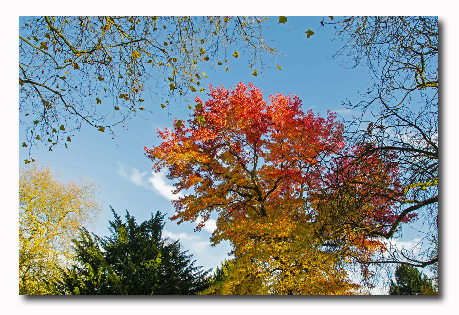 Stuning Autumn Colours at Pittville Park Cheltenham...